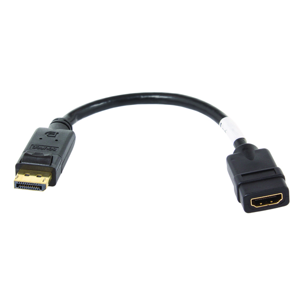 LINDY Adaptateur Vidéo DisplayPort Mâle vers HDMI femelle