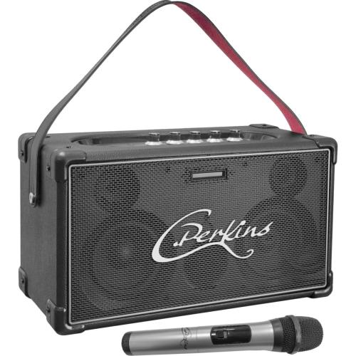 C Perkins NASHVILLE-SOUND enceinte design autonome portable 60W USB / Bluetooth avec micro main UHF